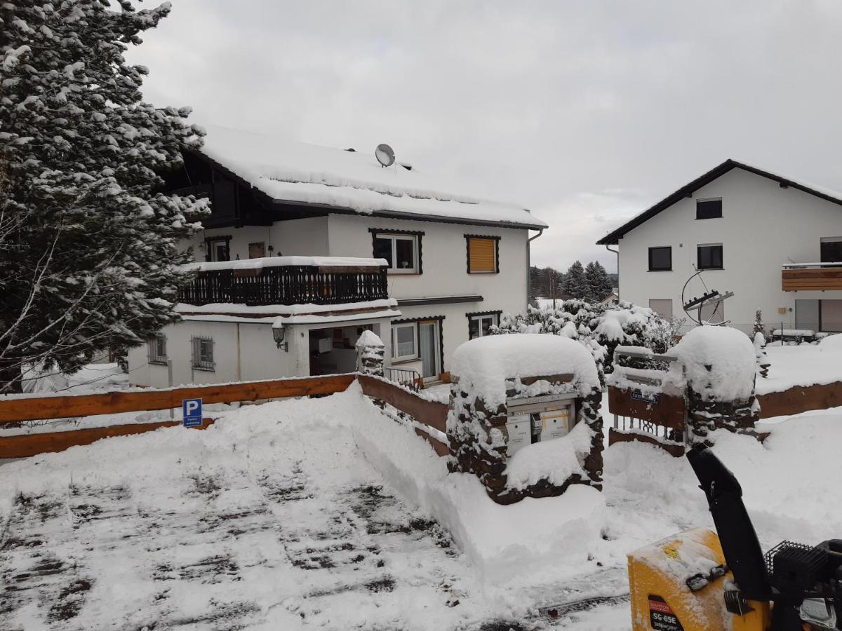 Ferienwohnung Eva Grebenhain Bagian luar foto