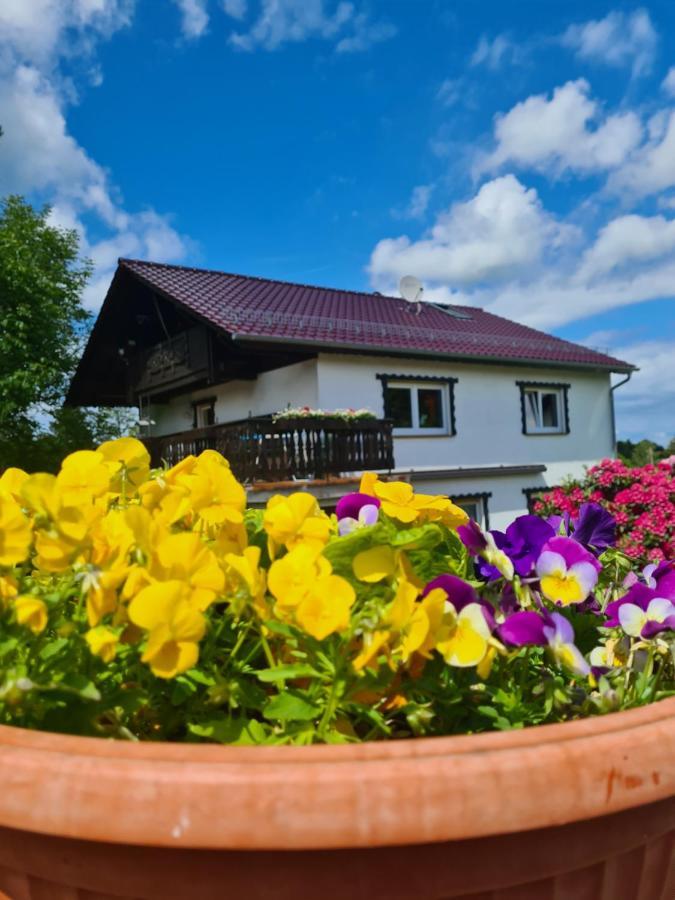 Ferienwohnung Eva Grebenhain Bagian luar foto