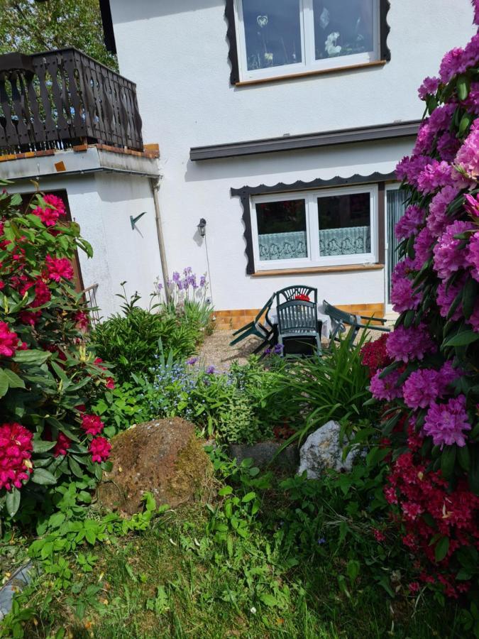 Ferienwohnung Eva Grebenhain Bagian luar foto